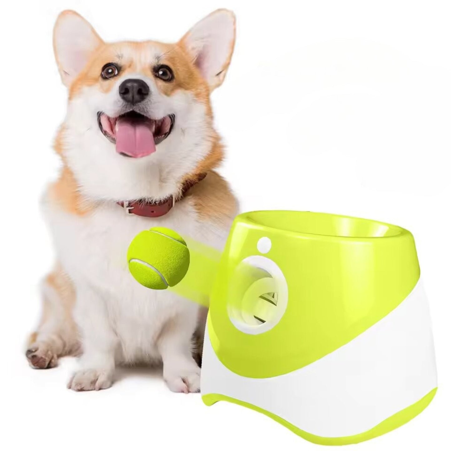 ZoomChucker™ Fun Dog Ball Launcher